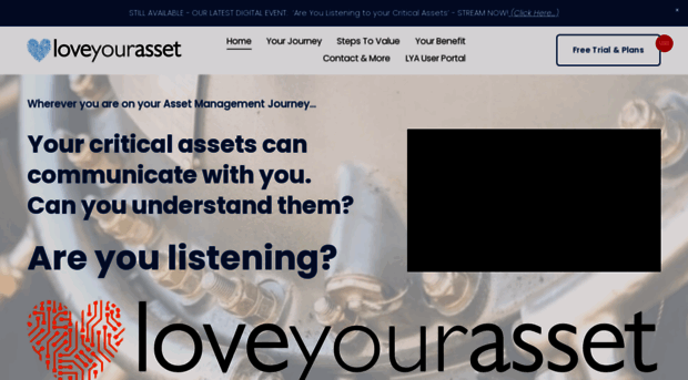 loveyourasset.com