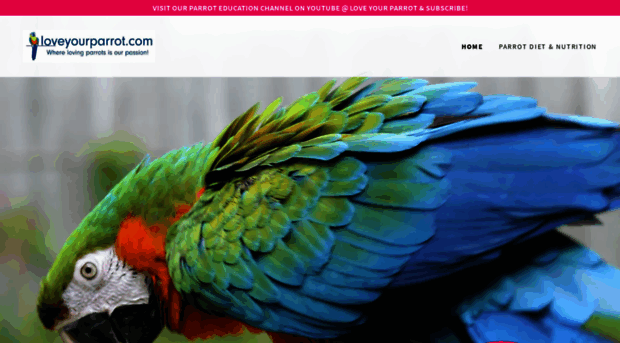 loveyourparrot.com