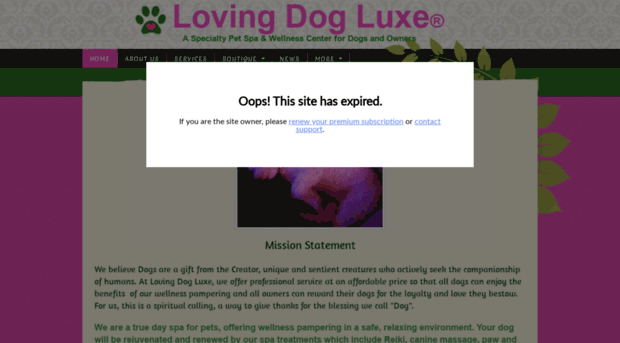 lovingdogluxe.com