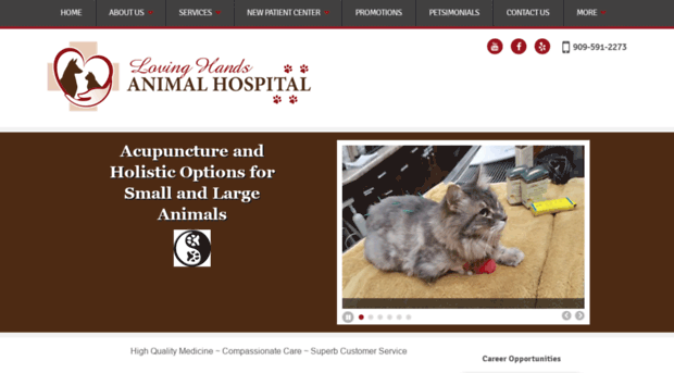 lovinghandsanimalhospital.com