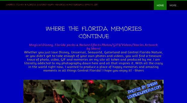 lovinwdwandfla.com