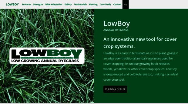 lowboyryegrass.com