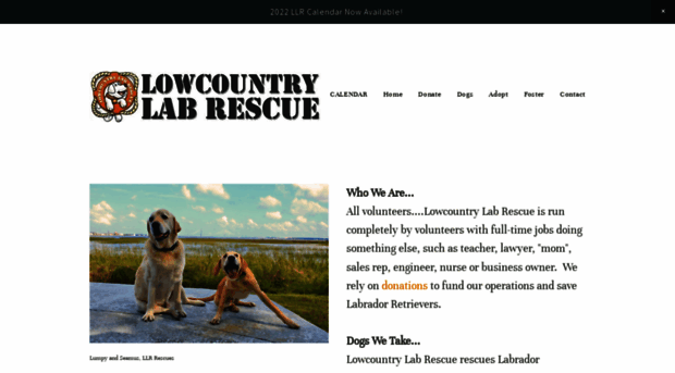 lowcountrylabrescue.org