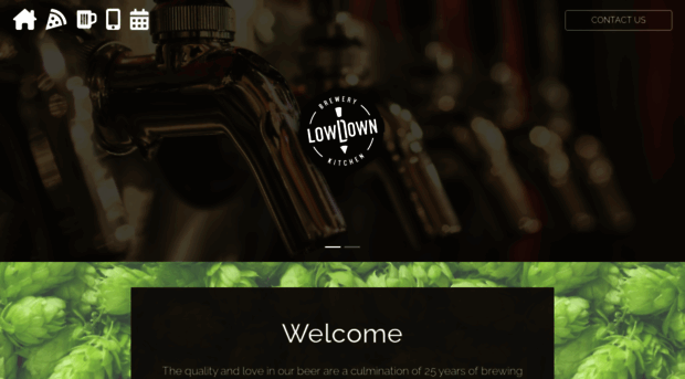 lowdownbrewery.com