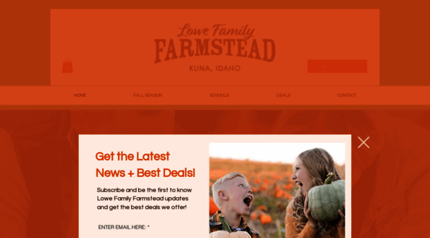 lowefamilyfarmstead.com