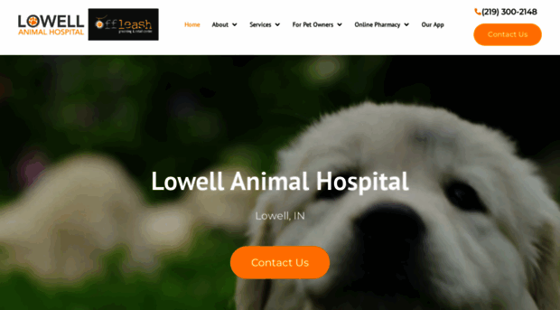 lowellanimalhospital.com