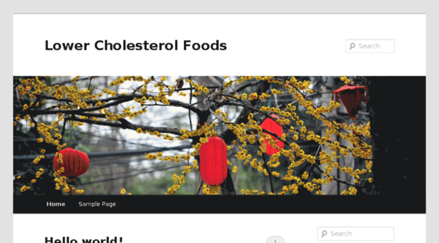 lowercholesterolfoods.biz