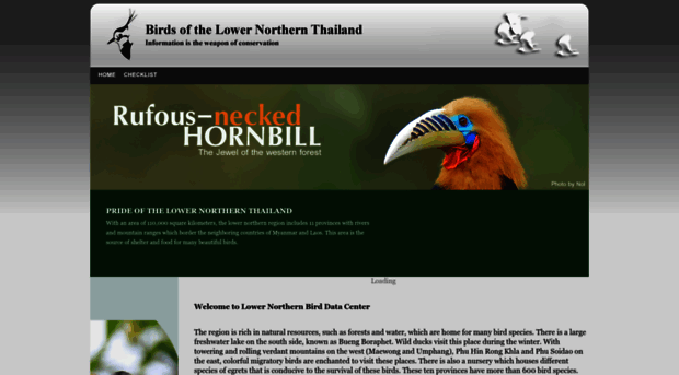 lowernorthernbird.com