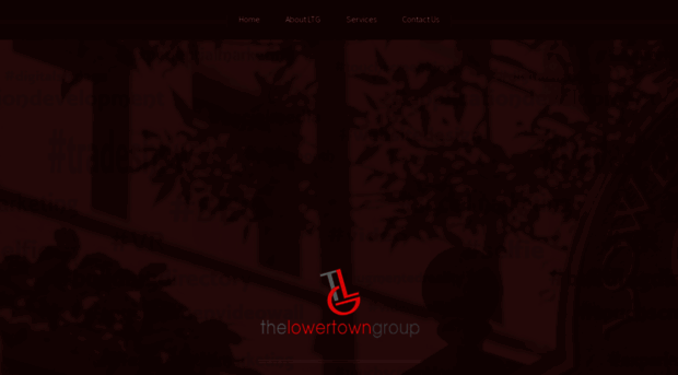 lowertowngroup.com