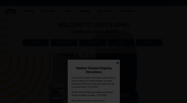 loweszonestore.com