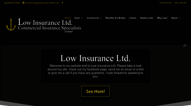 lowinsuranceltd.com