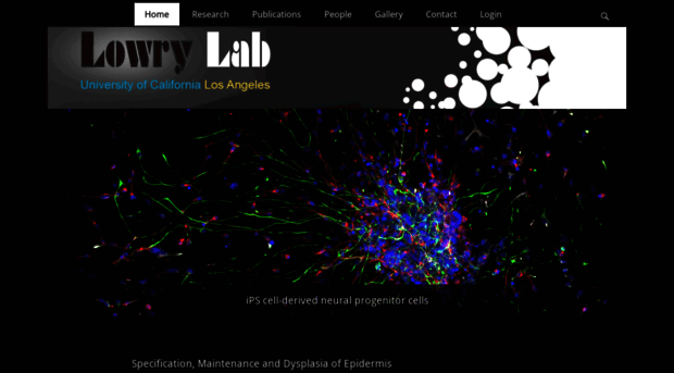 lowrylab.com