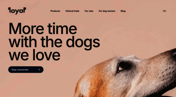 loyalfordogs.com