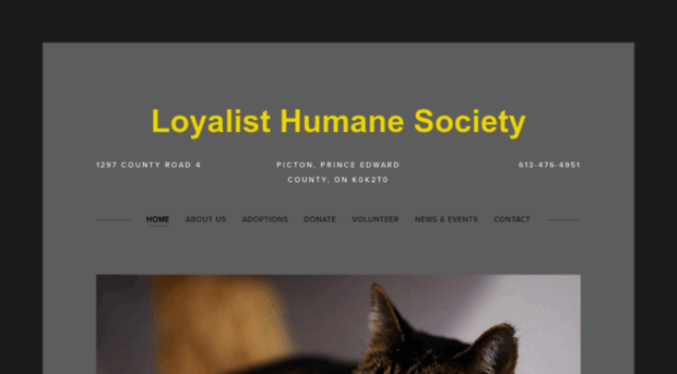 loyalisthumanesociety.com