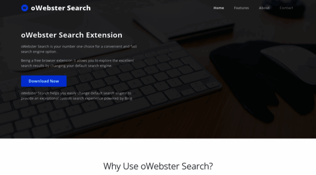 lp.owebsearch.com