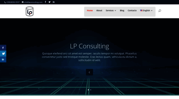 lpconsulting.com