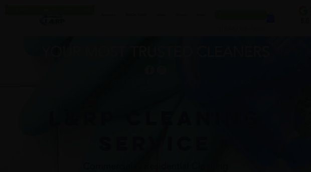 lrpcleaning.com