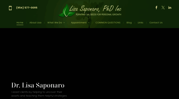 lsaponaro.com