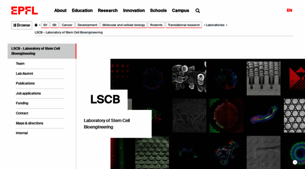 lscb.epfl.ch