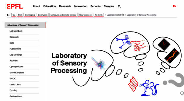 lsens.epfl.ch