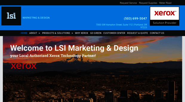 lsimarketing.com