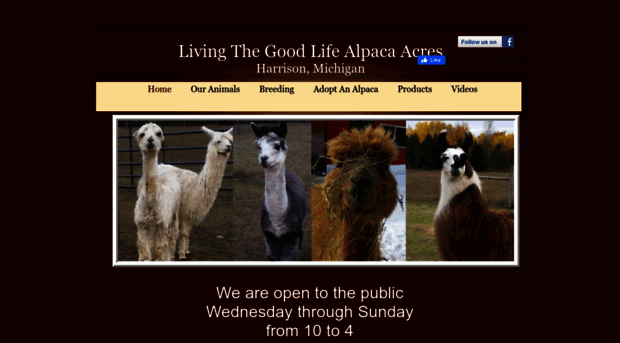 ltglalpacaacres.com