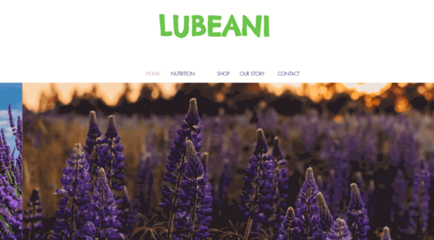 lubeani.com