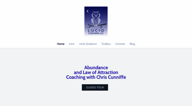 lucidcoaching.com