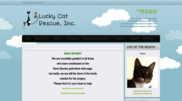 luckycatrescue.com