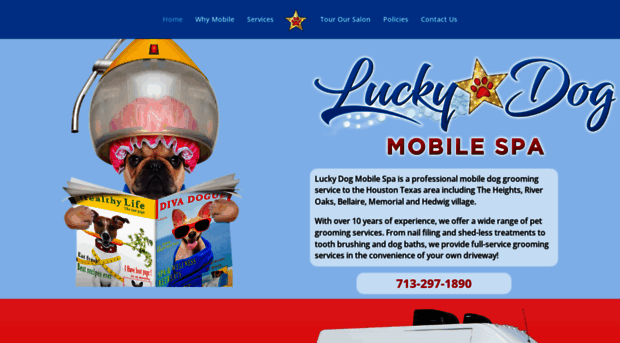 luckydogspahouston.com