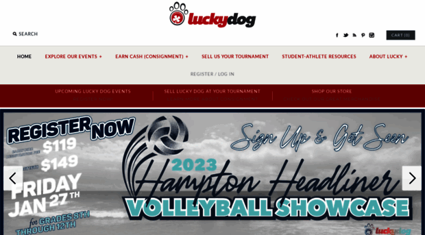 luckydogvolleyball.com