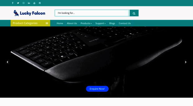 luckyfalconcomputers.com