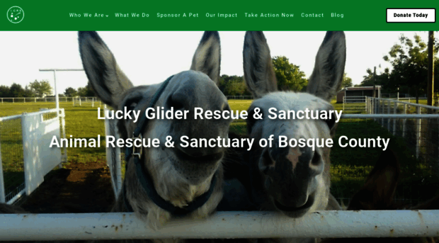 luckyglider.org