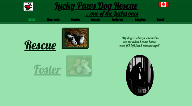 luckypawsdogrescue.ca