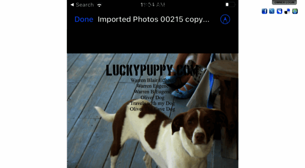 luckypuppy.com