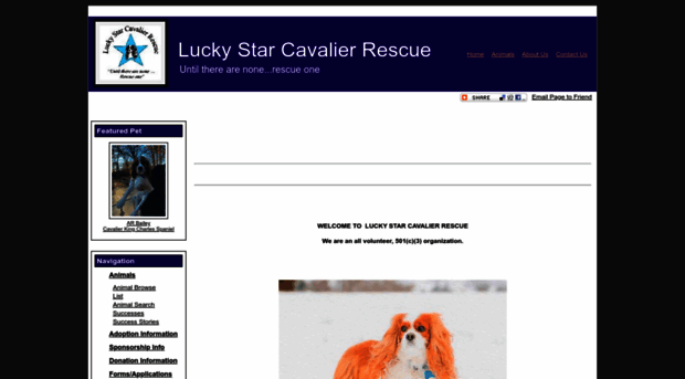 luckystarcavalierrescue.org