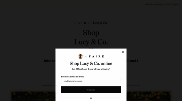 lucyandco.faire.com