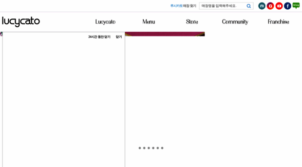 lucycato.co.kr
