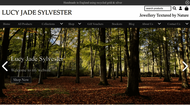 lucysylvester.co.uk