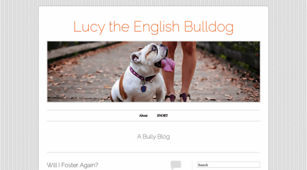 lucythebulldog.wordpress.com