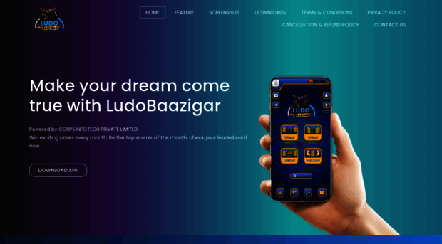ludobaazigar.com