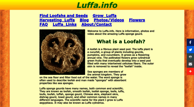 luffa.info