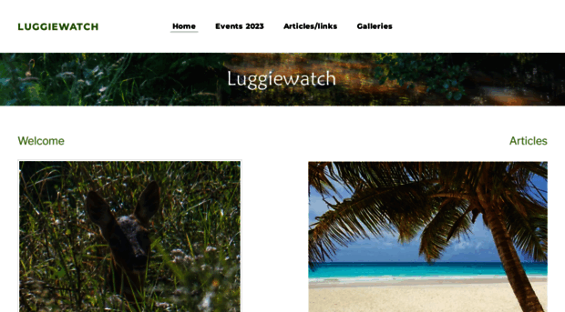 luggiewater.weebly.com