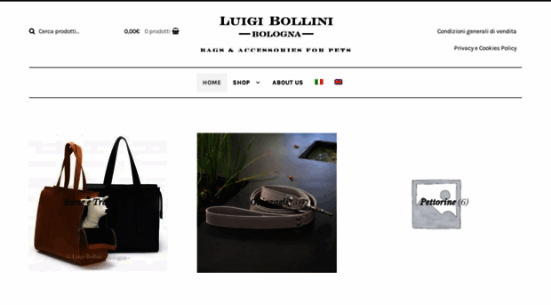 luigibollini.com