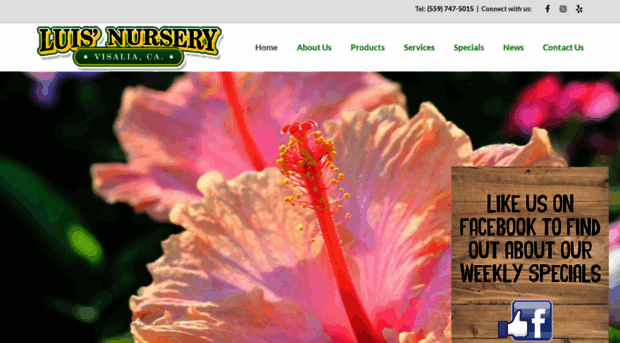 luisnursery.com