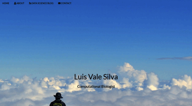 luisvalesilva.com