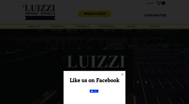 luizzisealcoating.com