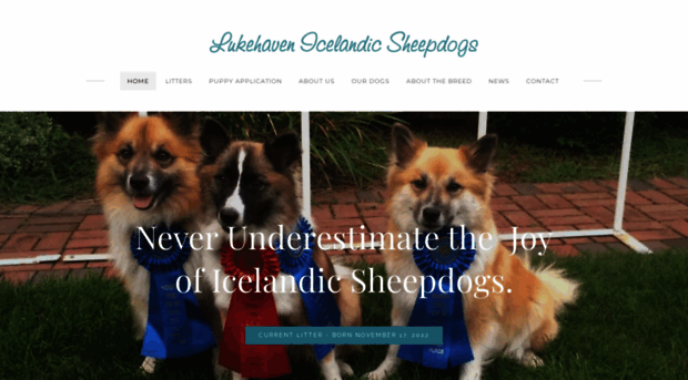 lukehavenicelandics.com