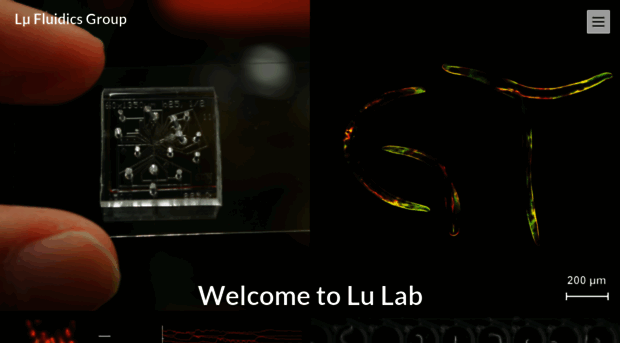 lulab.gatech.edu