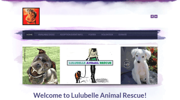 lulubellerescue.com